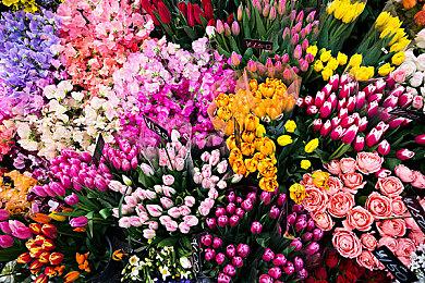 《谜之机器》明年2月登陆Switch 第一人称惊悚冒险