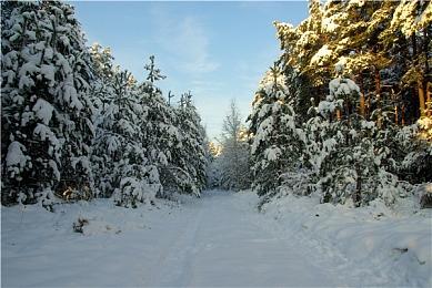 研究者尝试用谷歌AI玩《宝可梦》 结果很有趣